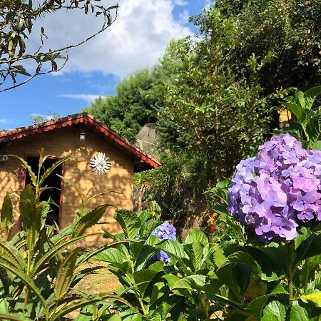 Chales Toca Do Sossego Hotel Visconde De Maua Eksteriør billede