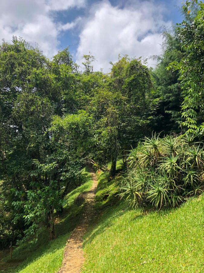 Chales Toca Do Sossego Hotel Visconde De Maua Eksteriør billede